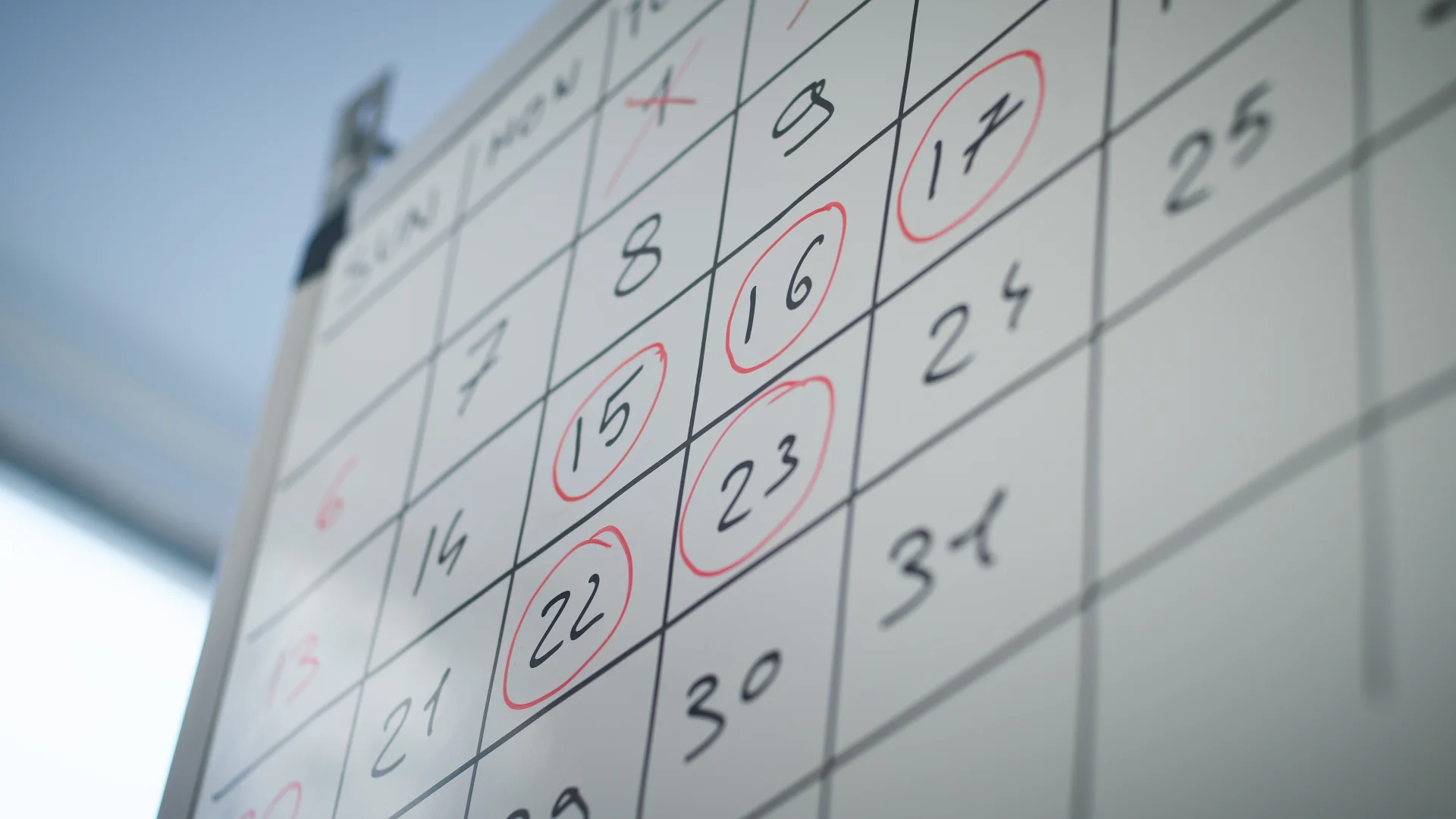 Mark calendar and progress