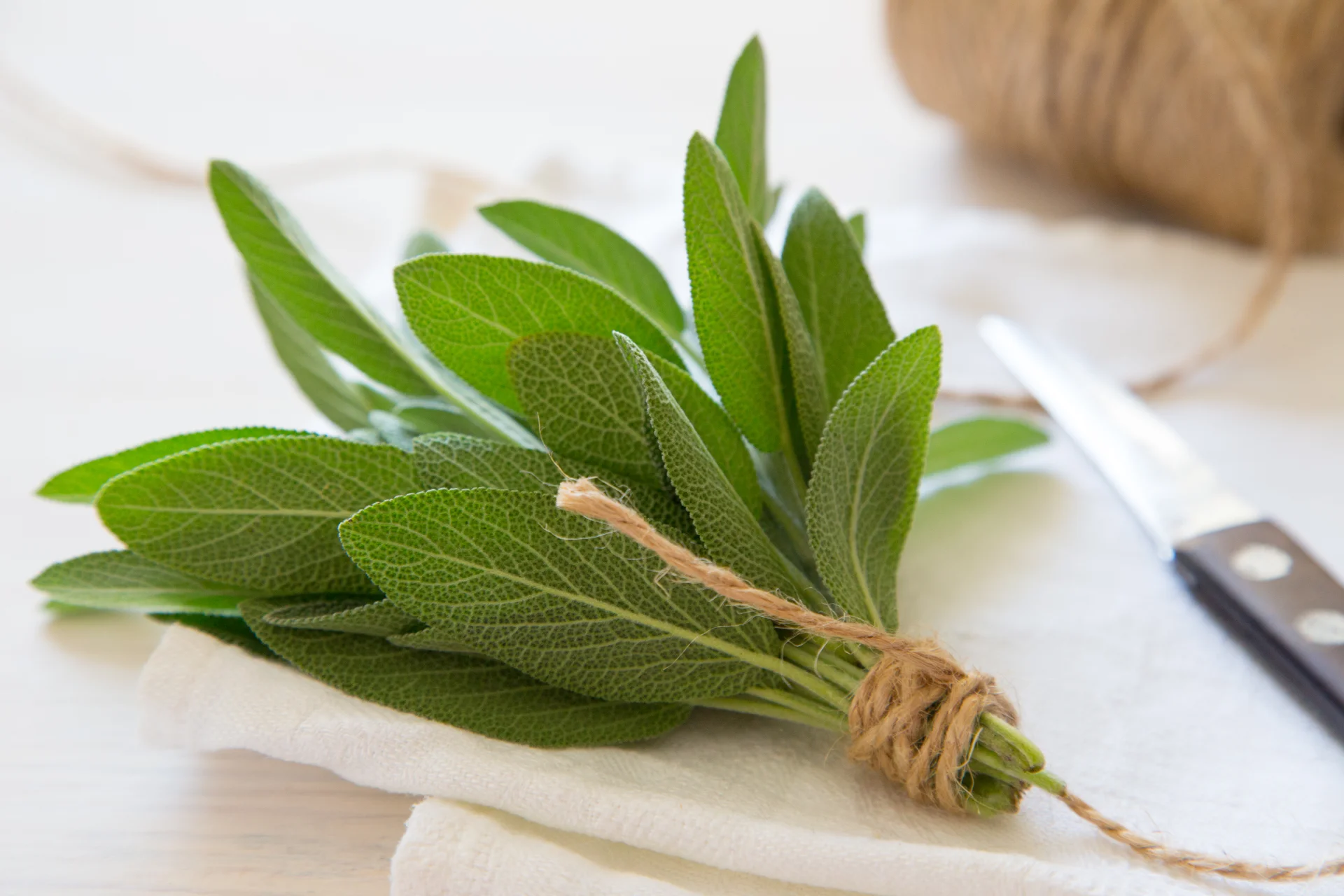 bunch of salvia